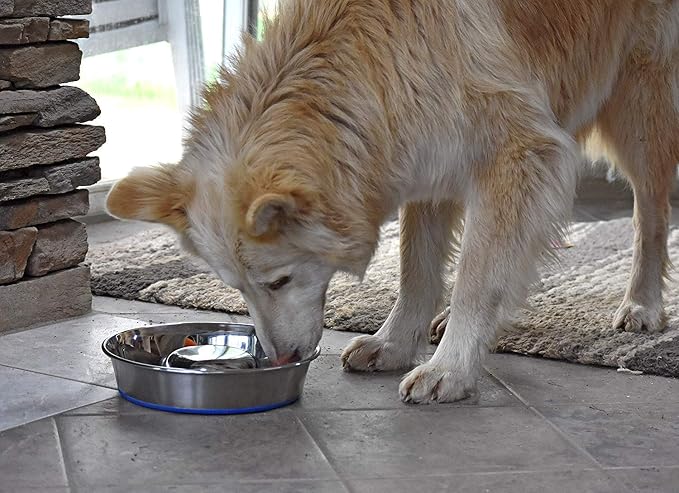 OurPet's Durapet Slow Feed Premium Stainless Steel Dog Bowl, Silver, Large (2040010302) | Helps pace rapid eaters, durable easy clean design, an alternative to snuffle mats for calmer mealtimes, a sturdy daily dish