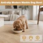 Karibiber Natural Marble Cat Bowl, Weighted 1.5lb Cat Food Bowl for Cat and Small Dog, Small Animal Pet Food Dish Non-Slip, Shallow Dish for Whisker Fatigue Relief, Premium Beige Stone for Home Decor
