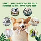 LEGEND SANDY Dog Squeaky Toys for Puppy, 5 Pack Small Dog Toys, Stuffed Animal Puppy Toys with Tug of War Ropes Value Bundle, Puppy Chew Toys for Teething with Squeakers Small Medium Breeds