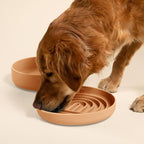 Slow Feeder Dog Bowls - Large Size Silicone Slow Eating Dog Bowl for Puppies & Dogs with Suction Cup -Dishwasher-Safe,Lick Mat Design,Reduces Gulping,for All Breeds,9.5”x1.5”-Terracotta