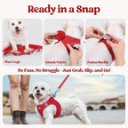 rabbitgoo Dog Harness Small Sized and Leash Set, Step-in Puppy Pet Vest | Light, Soft, Breathable Air Mesh, Easy on and Remove with Hook & Loop, Secure Reflective for Walking, Red XXS
