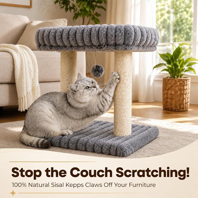 Small Cat Tree with Bed and Scratching Post for Indoor Cats｜Grey | Bedside Kitten Tower｜Space Saving ｜Large Soft Perch｜Sisal Scratcher｜19.7-Inch Tall｜Wide Base｜Replaceable Interactive Toys
