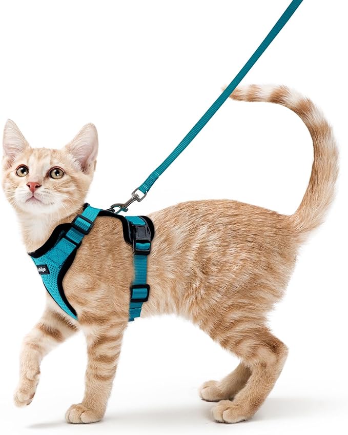 rabbitgoo Cat Harness and Leash Set, Escape Proof Vest, Teal | Soft Breathable Mesh, Easy Adjustable Fit, Snap Buckles, Sturdy Clip, Reflective Strips, for Average Cats Walks, S