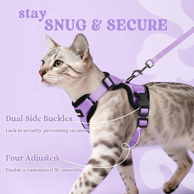 rabbitgoo Cat Harness and Leash Set, Escape Proof Vest, Light Purple | Soft Breathable Mesh, Easy Adjustable Fit, Snap Buckles, Sturdy Clip, Reflective Strips, for Medium to Large Cats Walks, M