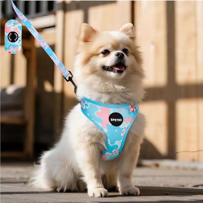 Small Dog Harness and Leash Set of 6, No Pull Soft Lightweight Mesh Puppy Harness， Adjustable Cute Floral Pattern Pet Harness for Small Medium Dogs (Blue Sea, S)