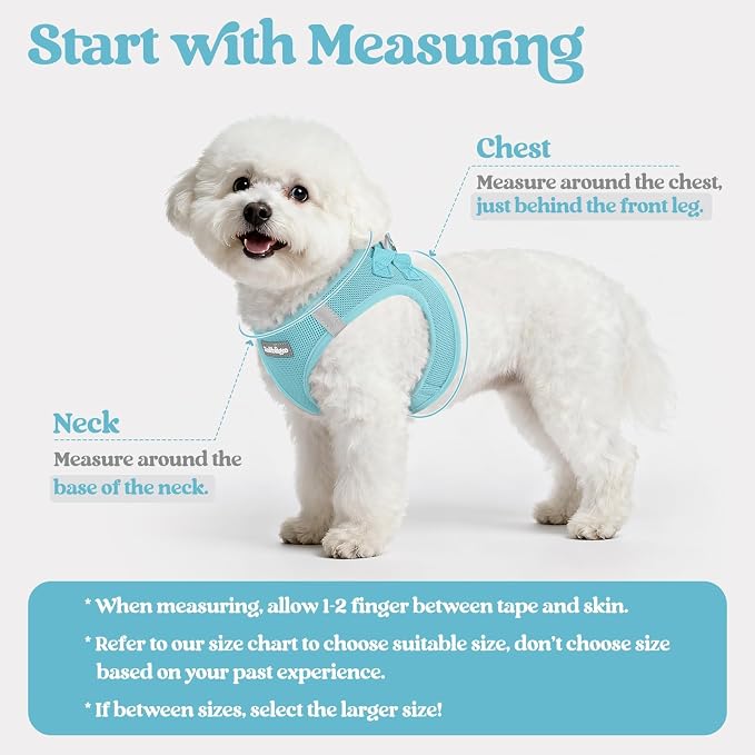 rabbitgoo Dog Harness Small Sized and Leash Set, Step-in Puppy Pet Vest | Light, Soft, Breathable Air Mesh, Easy on and Remove with Hook & Loop, Secure Reflective for Walking, Mint Blue M