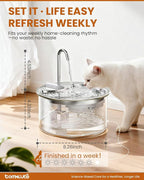 Tomxcute Glass Cat Water Fountain-84oz Dishwasher Safe Cat & Dog Fountain | Borosilicate Glass Bowl,Easy to Clean,Prevents Feline Acne,Ultra Quiet Pump,Warm Light,Gifts for Cats, Dogs