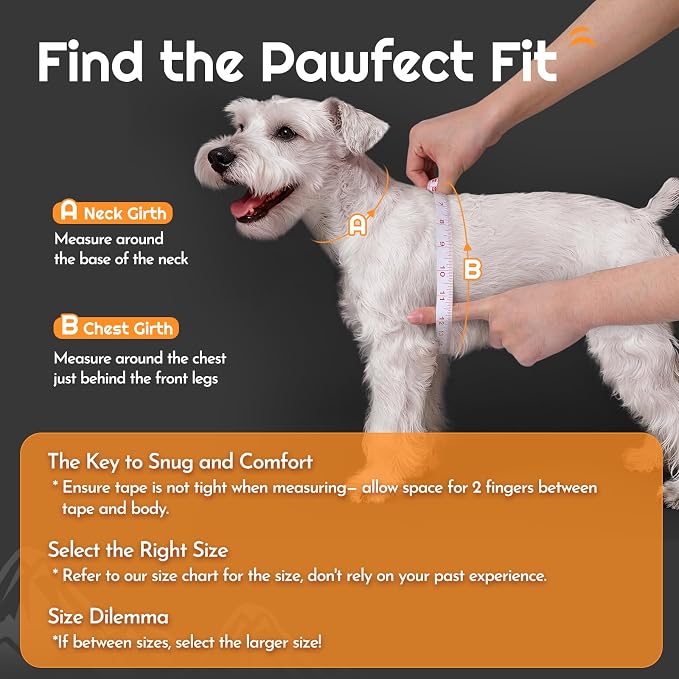 Eagloo Small Dog Harness and Leash Set, Step in Medium Small Puppy Pet Vest | Light, Soft, Breathable Air Mesh, Easy on and off with Hook & Loop, Reflective for Safe Walking, Black, L