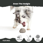 Barkbox Sven The Hedgie Super Chewer Dog Toy | Natural Rubber, Wacky Bounce & Rippled Texture | Durable Dog Toy for Aggressive Chewers, Medium to Large Dogs