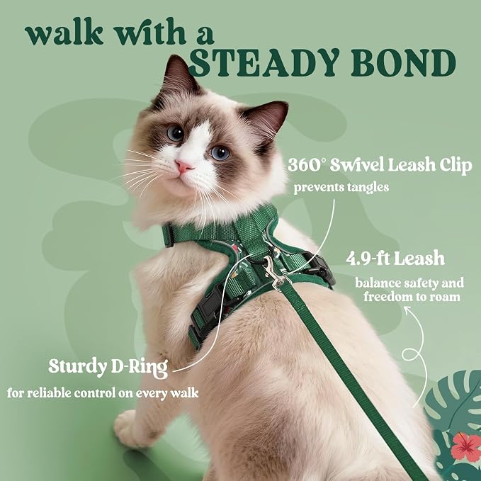 rabbitgoo Cat Harness and Leash Set, Escape Proof Vest, Rainforest Green | Soft Breathable Mesh, Easy Adjustable Fit, Snap Buckles, Sturdy Clip, Reflective Strips, for Kittens & Small Cats Walks, Xxs