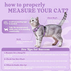 rabbitgoo Cat Harness and Leash Set, Escape Proof Vest, Purr-ple Daisy | Soft Breathable Mesh, Easy Adjustable Fit, Snap Buckles, Sturdy Clip, Reflective Strips, for Average Cats Walks, S