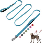 Fida 10ft Heavy Duty Dog Leash with 2 Comfortable Padded Handles, Traffic Handle & Advanced Easy Snap Hook, Reflective Walking Lead for Large, Medium & Small Breed Dogs,Blue
