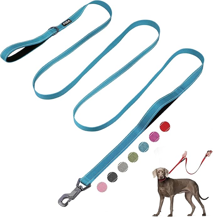 Fida 10ft Heavy Duty Dog Leash with 2 Comfortable Padded Handles, Traffic Handle & Advanced Easy Snap Hook, Reflective Walking Lead for Large, Medium & Small Breed Dogs,Blue