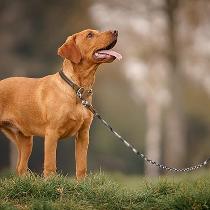 Mile High Life Dog Leash with Genuine Leather Handle, 6 FT/5 FT/4 FT | Leather Grip Rope Leash, Heavy Duty 360° Swivel Metal Clasp, for Small Medium & Large Dogs