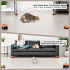 Interactive Cat Toys for Indoor Cats, Cat Treadmill Auto/Remote Control DIY Cat Mouse Hunting Toys, Keep Bored Kitten Dog Entertained to Chase, Feather Toy to Exercise Wheel-Orange