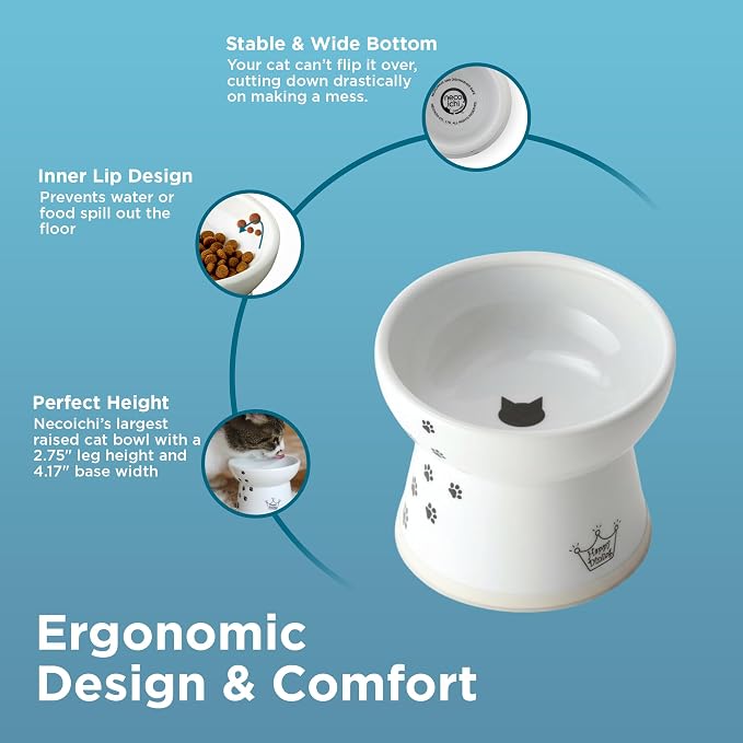 Necoichi Ceramic Raised Cat Food Bowl, Whisker-Friendly (Cats, Large Flat)