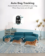 Dzees 2K Indoor Security Cameras, 360° WiFi Pet Camera, 2-Pack | Phone app, 5GHz and 2.4GHz WiFi, wired design, 2-way audio, motion tracking, night vision
