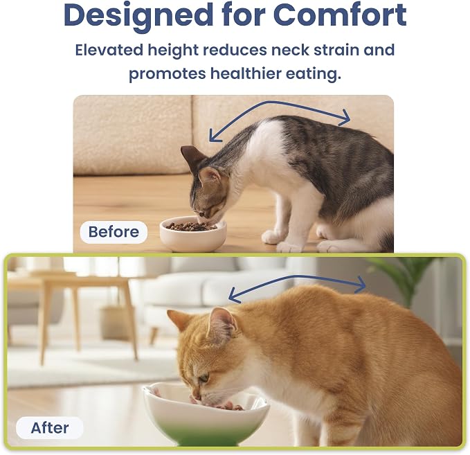 Strawberry Blooms Elevated Ceramic Cat Bowl, Green | Raised Cat Food Bowl with 15° Tilt, Whisker-Friendly Pet Feeding Bowl, Anti-Choking Dish, Dishwasher Safe