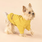 Fitwarm 3 Pack Classic Fleece Dog Sweater, Turtleneck Dog Sweatshirt, Winter Clothes for Small Dogs Boy Girl, Pet Pullover Jumper, Cat Apparel, Orange, Yellow, Coffee, XS
