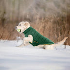 Lelepet Reversible Dog Coat Windproof Dog Jacket Lightweight Puffer Vest | Dogs Puffer Coat for Large Dogs Adjustbale Hook & Loop Pet Apparel Cold Weather Coats with Leash Hole, Pitbull, Green, XL