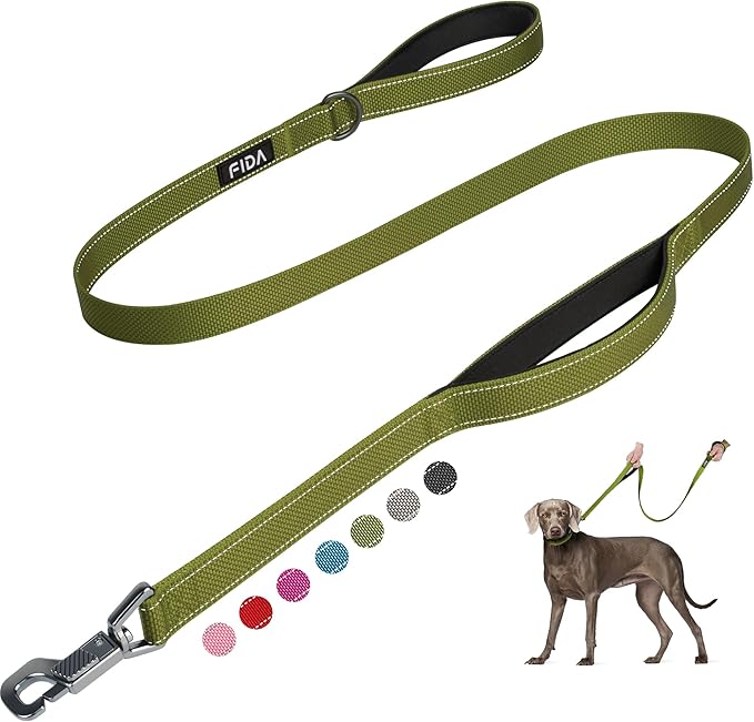 Fida 5 FT Heavy Duty Dog Leash with 2 Comfortable Padded Handles, Traffic Handle & Advanced Easy Snap Hook, Reflective Walking Lead for Large, Medium & Small Breed Dogs, Green