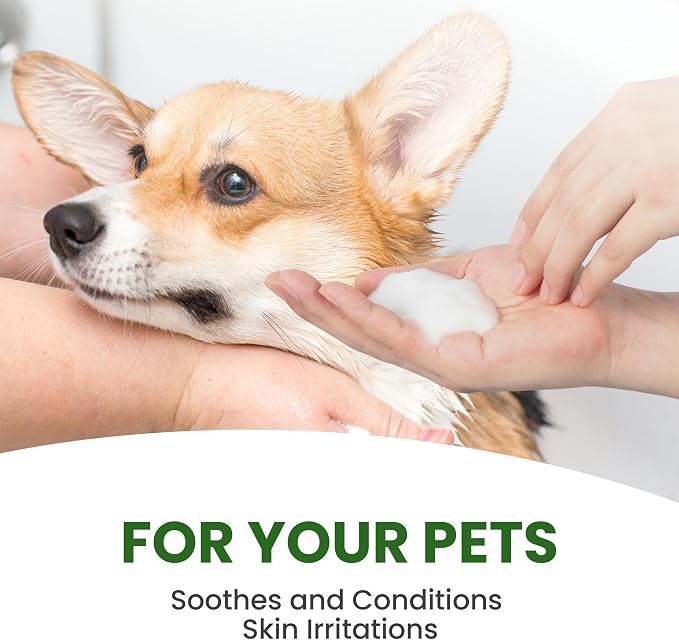 Dog Shampoo – Cleansing Wash, Conditioning, Moisturizing – Healthy Ingredients – Aromatic Grooming Puppy Shampoo – Tearless Cleaner, Rosemary Tea Tree