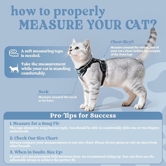 rabbitgoo Cat Harness and Leash Set, Escape Proof Vest, Doodle Gray | Soft Breathable Mesh, Easy Adjustable Fit, Snap Buckles, Sturdy Clip, Reflective Strips, for Kittens & Small Cats Walks, Xxs