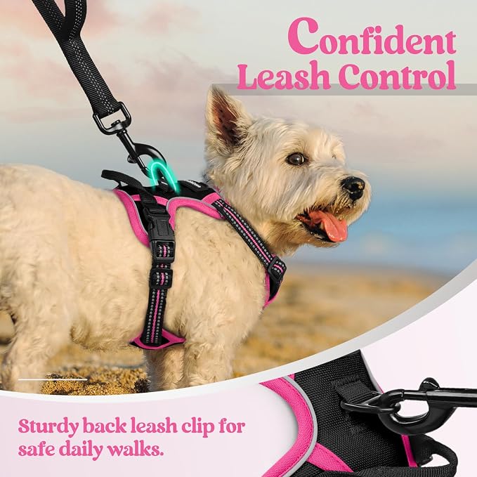 rabbitgoo Dog Harness, No Pull for Small Dogs with 2 Leash Clips, Pet Vest | No Choke with Handle, Adjustable Soft Padded, Reflective, Easy Control for Walking, Black & Hot Pink, X-Small