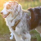 AUROTH Tactical Dog Harness for Large Dogs No Pull Adjustable Pet Harness Reflective K9 Working Training Easy Control Pet Vest Military Service Dog Harnesses