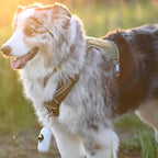 AUROTH Tactical Dog Harness for Large Dogs No Pull Adjustable Pet Harness Reflective K9 Working Training Easy Control Pet Vest Military Service Dog Harnesses
