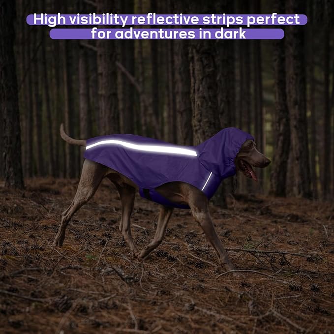 Purple Dog Raincoat with Reflective Strip Hoodie, Waterproof Poncho，M | Reflective Safety Trim, Waterproof & Breathable, Adjustable Hood, Leash-Friendly Access Hole, Easy On & Off Design