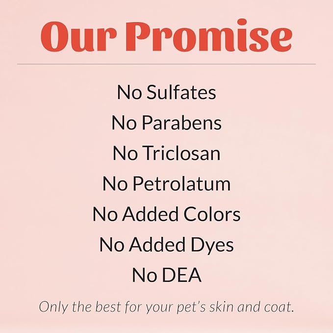 SKOUT'S HONOR Probiotic Itch Relief Shampoo for Dogs, 16 oz, 2-Pack | Non-Medicated Microbiome-Friendly Formula with Avocado Oil and Omega-3s, Paraben & Sulfate-Free, Unscented