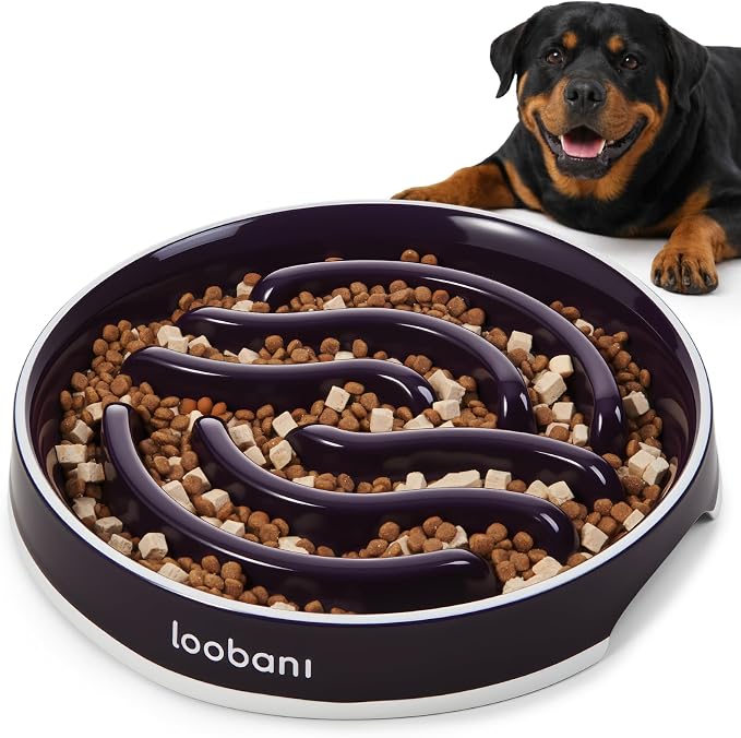 LOOBANI 4.5 Cups Ceramic Slow Feeder Dog Bowls Giant Dogs with Grip Handles | Heavy Ceramic, Stay in Place, Healthier Eating, Durable & Easy-Clean, Foam-Protected, Perfect for Fast-Eating Large Breeds