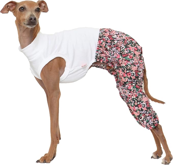 D Doggy Star Italian Greyhound Clothes Mombbe Onesie Outfit Whippet for Dog Coat (S,Mombbe Black)