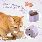 Mumufy 2 Pcs Ceramic Elevated Cat Bowls Tilted Elevated Raised Pet Bowls Anti Vomit Cat Dish for Indoor Stress Free Water Dish Feeder for Puppies, Heart Shaped(White, Purple)