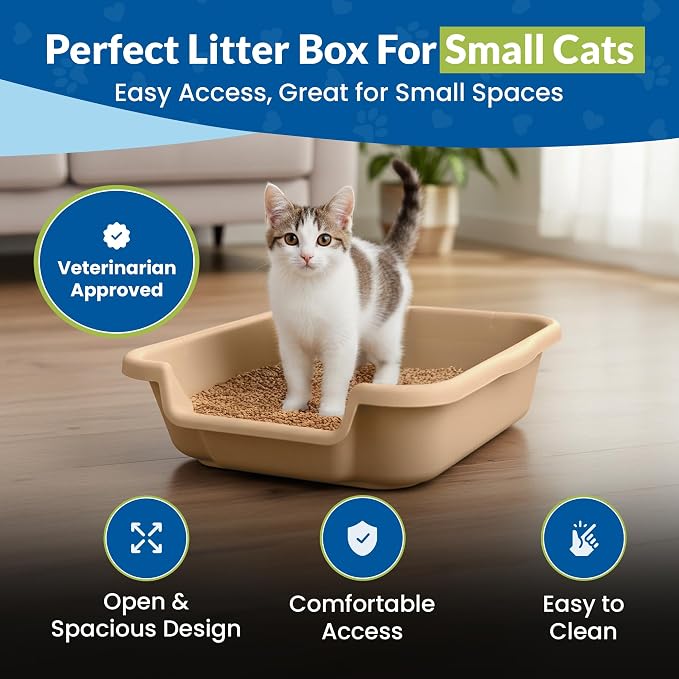 KittyGohere Senior Cat Litter Box Small with Scoop, Beach Sand | Open Top Low Entrance Kitty Litter Box With With Long-handle Jumbo Scoop, Lightweight & Durable Litters Box, Made in USA
