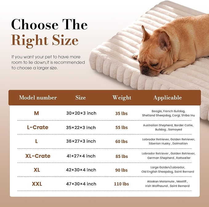 Dog Beds for Large Sized Dog, Orthopedic Foam with Waterproof Lining | Egg crate foam for joint support. Soft plush surface. Non-slip bottom. Removable & machine washable cover. OEKO-TEX certified