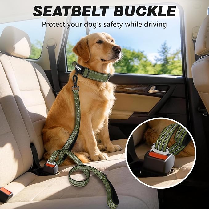 Double Handle Dog Leash with Poop Bag Holder and Car Seat Belt Buckle | Heavy Duty | Double Handle | with Poop Bag Holder | with Car Seat Belt Buckle | Reflective | Lightweight
