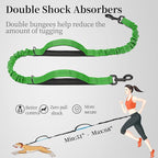 iYoShop Hands Free Dog Leash with Zipper Pouch, Dual Padded Handles and Durable Bungee for Walking, Jogging and Running Your Dog (Large, 25-120 lbs, Emerald)