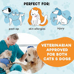 BENCMATE Inflatable Dog Cone Collar Alternative, Soft Dog Cone for Small Medium Large Dogs and Cats, Neck Recovery ECollar Donut Collar After Surgery (Medium, Orca)