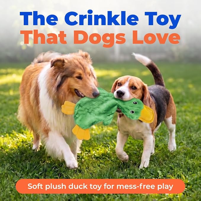 Best Pet Supplies Squeaky Dog Toys with Soft Durable Fabric for Small, Medium and Large Pets Interactive Toy for Indoor Play, Supports Active Biting and Play - Green