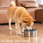 1Gallon No Spill Water Bowl for Dogs, Double-Wall Stainless Steel with Splash-Proof Paws Lid and Floating Disk, Non-Slip Base, Easy to Clean Slow Water Feeder for Large Medium Dogs