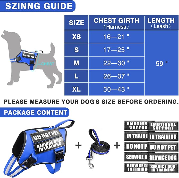 Service Dog Vest Harness and Leash Set+10 Patches,Easy Walk Blue S | No Pull&Adjustable Reflective Dog Harness Small Sized,Dog Leash with 2 Soft Padded Handles,for Training Hiking Walking