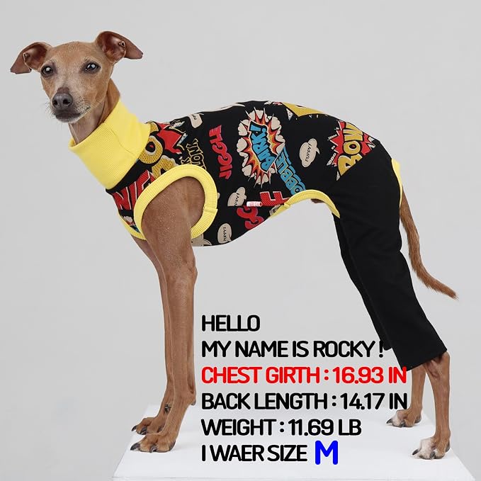 D Doggy Star Italian Greyhound Clothes Stretchable Bow Sleeveless Onesie Whippet for Dog (M,Onesie Bow Black)