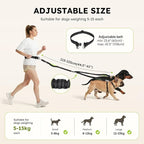 Pecute Hands Free Dog Leash for 2 Dogs, Waist Belt with Pouch, No Tangle | Shock absorbing bungee, dual padded handles, detachable waterproof fanny pack, heavy duty for large dogs, running & walking