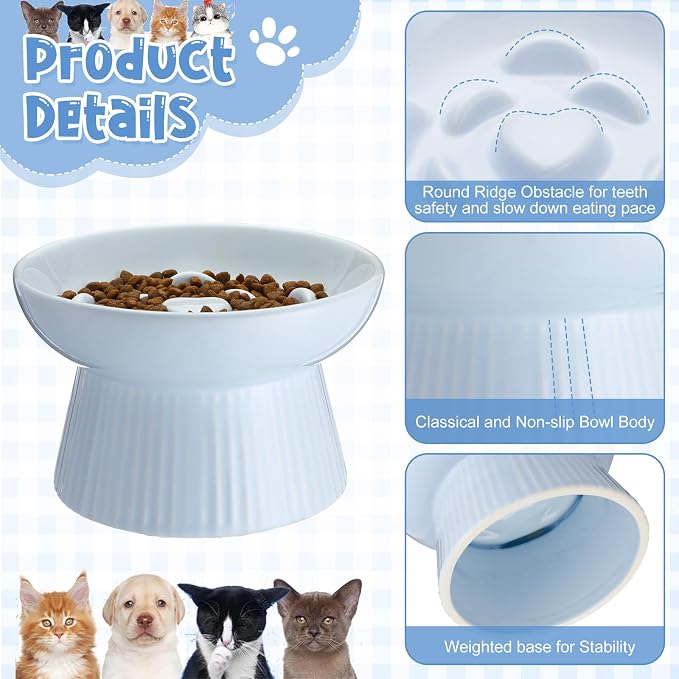 Tioncy 2 Pcs Ceramic Elevated Slow Feeder Cat Bowl, Raised Cat Slow Feeder Bowl, Anti Vomiting for Dry and Wet Food, No Spill High Edge Easy Clean Dishwasher Safe (Green,Blue)