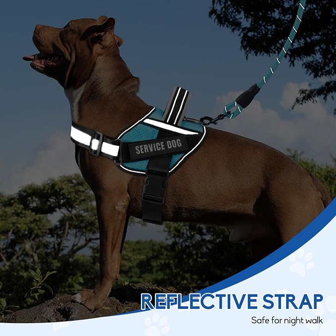 Service Dog Vest Harness and Leash Set, Animire in Training Dog Harness with 10 Dog Patches, Reflective Dog Leash with Soft Padded Handle for Dogs (Light Blue,Xs)