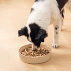 vancasso Ceramic Slow Feeder Dog Bowls, Puzzle Dog Food Bowls with Floral Maze, Anti -Slip Pet Food Dish for Large Breed, 3 Cups, Brown