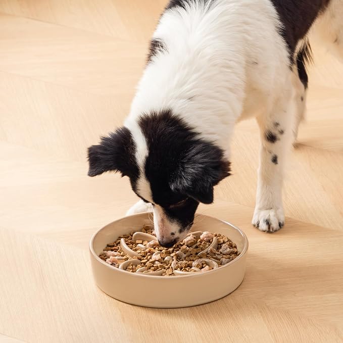 vancasso Ceramic Slow Feeder Dog Bowls, Puzzle Dog Food Bowls with Floral Maze, Anti -Slip Pet Food Dish for Large Breed, 3 Cups, Brown