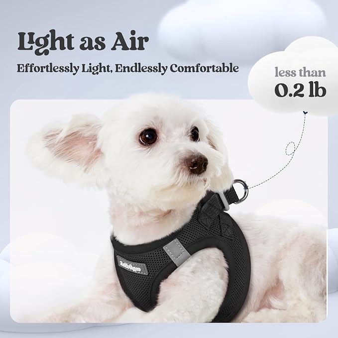 rabbitgoo Dog Harness Medium Sized and Leash Set, Step-in Puppy Pet Vest | Light, Soft, Breathable Air Mesh, Easy on and Remove with Hook & Loop, Secure Reflective for Walking, Black L